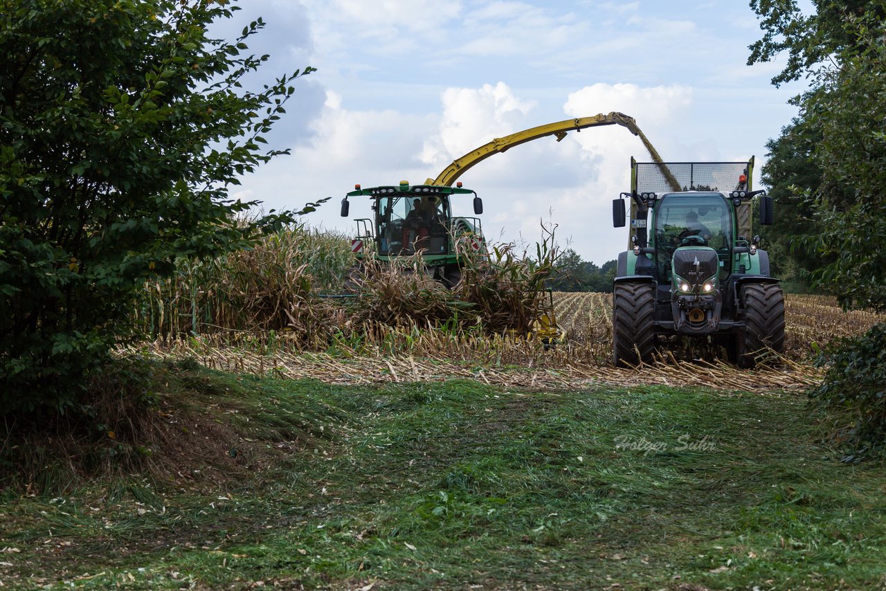 Bild 219 - Maisernte